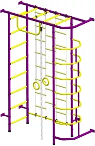 Спортивный комплекс Пионер 9ЛМ (пурпурный/желтый) фото