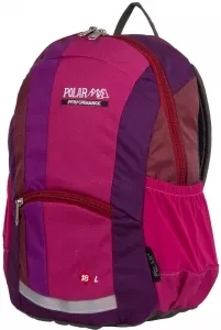 Рюкзак школьный Polar П2009 pink фото