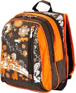 Рюкзак школьный Polar П53.1 orange фото