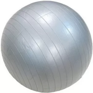 Мяч гимнастический Pro Energy 18209-65 фото
