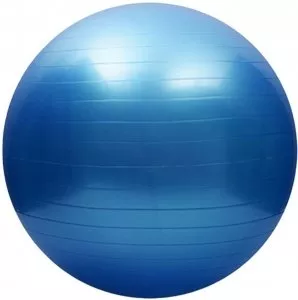 Мяч гимнастический Protrain ASA059-65 фото