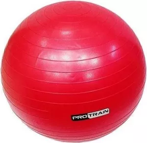 Мяч гимнастический Protrain TA-6402-55 фото