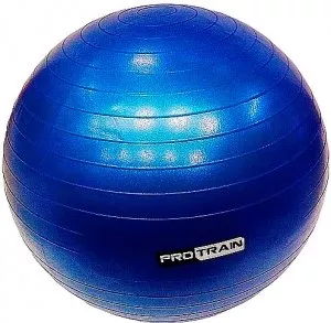 Мяч гимнастический Protrain TA-6402-65 фото