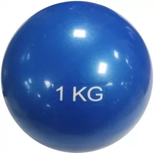 Мяч гимнастический Protrain YB2112-1 фото