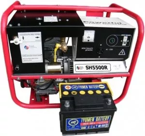 Газовый генератор REG SH5500R фото