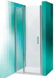 Душевая дверь Roltechnik Tower Line TDN1 100x200 фото