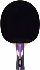 Ракетка для настольного тенниса Roxel Stellar фото
