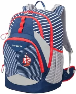 Рюкзак школьный Samsonite Sam Ergofit (CH1-11002) фото