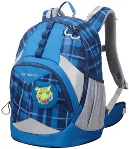 Рюкзак школьный Samsonite Sam Ergofit (CH1-31001) фото