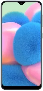 Samsung Galaxy A30s 4Gb/64Gb Green (SM-A307F/DS) фото