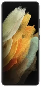 Samsung Galaxy S21 Ultra 5G 12Gb/128Gb Titanium (SM-G998B/DS) фото