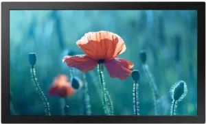 Интерактивная панель Samsung QB13R фото