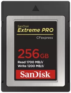 Карта памяти SanDisk Extreme Pro CFexpress Type B 256Gb (SDCFE-256G-GN4NN) фото