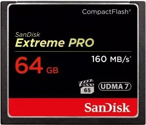 Карта памяти SanDisk Extreme PRO CompactFlash 64Gb (SDCFXPS-064G-X46) фото