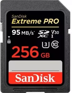 Карта памяти SanDisk Extreme PRO SDXC 256Gb (SDSDXXG-256G-GN4IN) фото