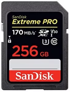 Карта памяти SanDisk Extreme PRO SDXC 256Gb (SDSDXXY-256G-GN4IN) фото