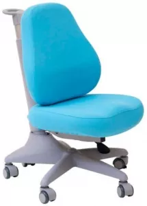 Кресло растущее Седия COMFORT-23 с чехлами фото