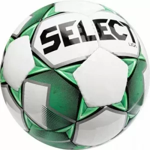 Мяч футбольный Select Liga 4 фото