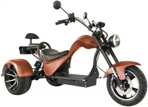 Электроскутер SKYBOARD Trike Chopper-4000 Pro Fast SKY0001804 (коричневый) фото