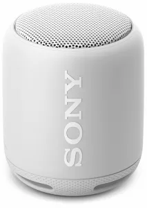 Портативная акустика Sony SRS-XB10 White фото