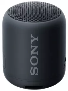 Портативная акустика Sony SRS-XB12 Black фото