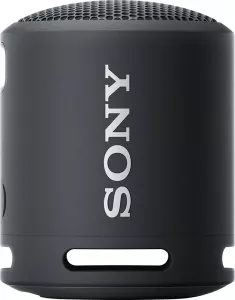 Портативная акустика Sony SRS-XB13 Black фото