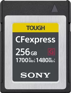 Карта памяти Sony TOUGH CFexpress 256Gb (CEB-G256) фото