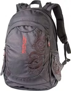Рюкзак для ноутбука Spayder 604.S Black фото