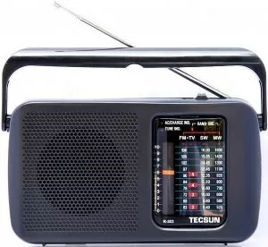 Радиоприемник Tecsun R-303T фото