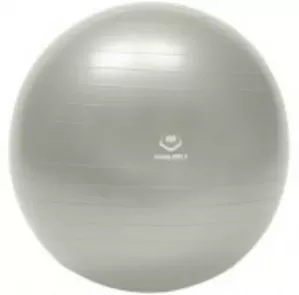 Мяч гимнастический WinMax Sport 75 см серый (WMF09648S) фото