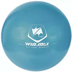 Мяч гимнастический WinMax Sport 75 см WMF09648D (голубой) фото