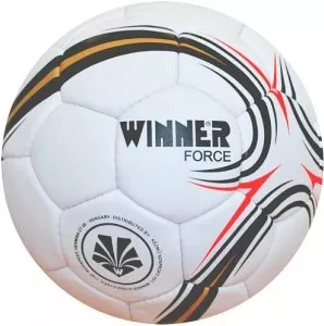 Мяч футбольный Winner Force фото