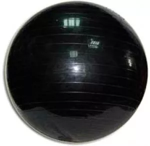 Мяч гимнастический ZEZ 1-D75 Black фото