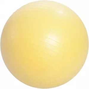 Мяч гимнастический ZEZ FB-55 фото