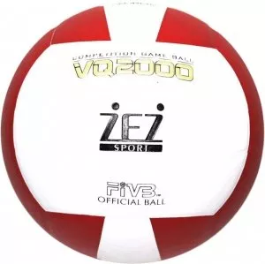 Мяч волейбольный ZEZ VQ2000 фото