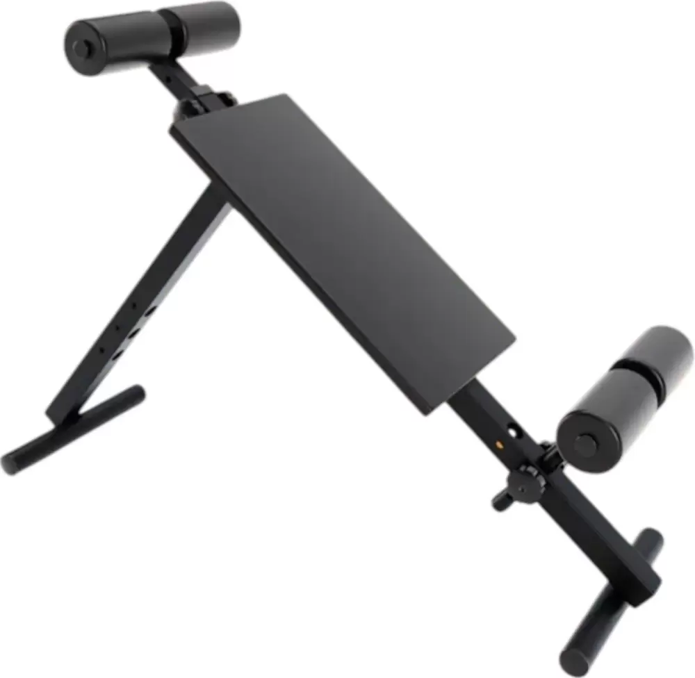 Absolute Champion И спины NEW АЧ13659