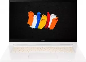 Ноутбук-трансформер Acer ConceptD 3 Ezel CC315-72G-70U9 (NX.C5NER.002) фото