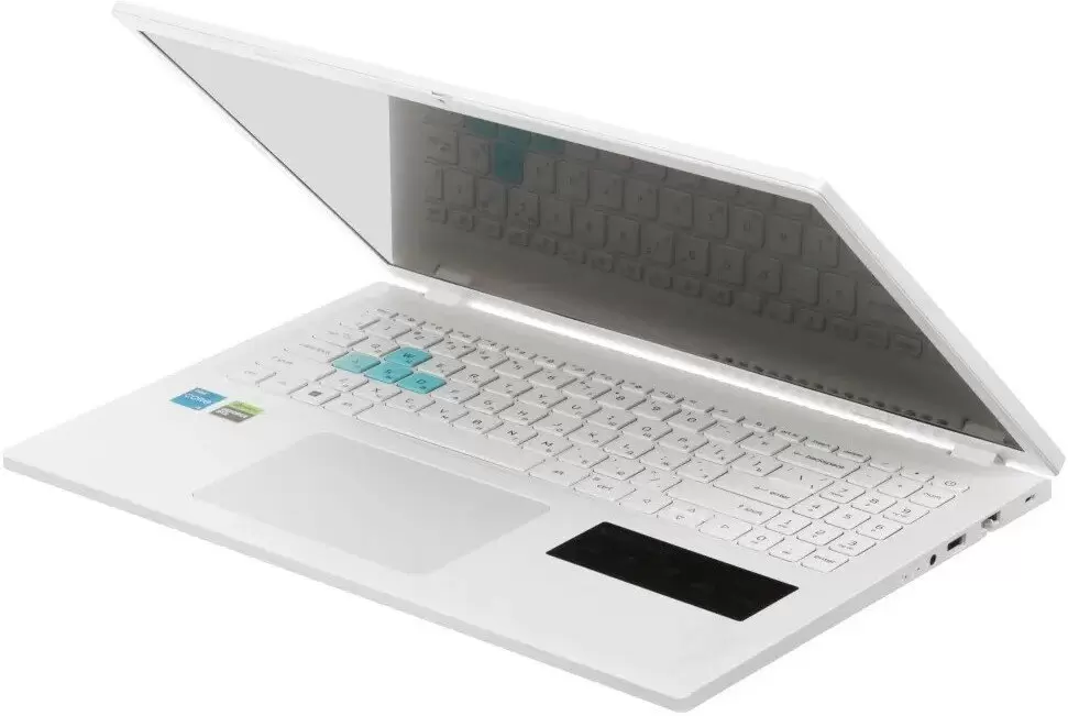 Игровой ноутбук Acer Nitro Lite NL16-71G-568T NH.D26CD.003 фото