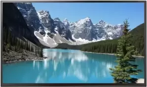 Информационная панель BOE SL55AP-PBMM01 фото