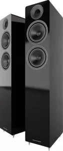 Напольная акустика Acoustic Energy AE309 (черный) фото