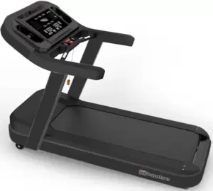 Беговая дорожка Aerofit PT300H (X4-T LED) фото