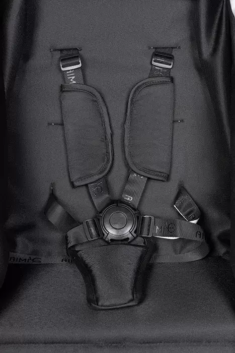 Детская универсальная коляска Aimile Adventurer / ADV-11 (черный) фото