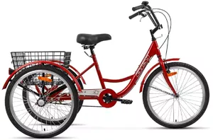 Велосипед AIST Cargo 1.1 2021 (красный) фото