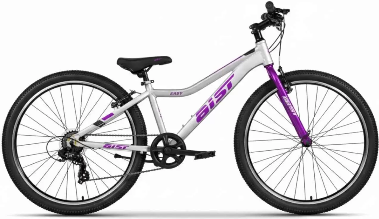 AIST Easy р.13 26 2025 (серебристый)