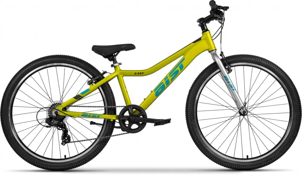 AIST Easy р.15 26 2025 (зеленый)