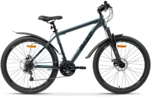 AIST Quest Disc 26 р.13 2025 (синий)