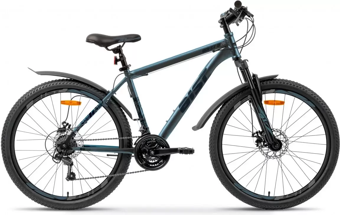 AIST Quest Disc 26 р.20 2026 (синий)