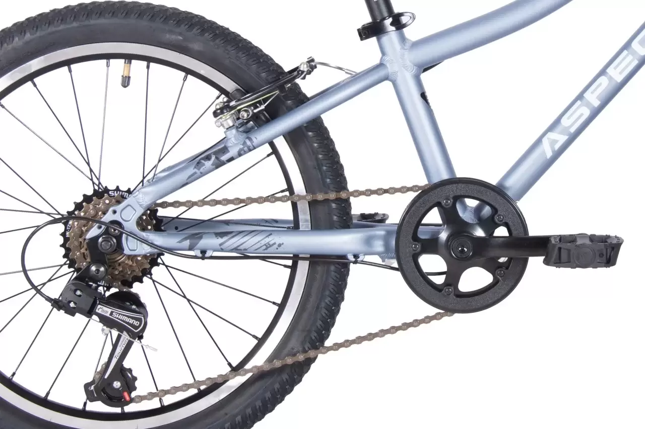 Детский велосипед Aspect Champion 20 2025 (серый) фото