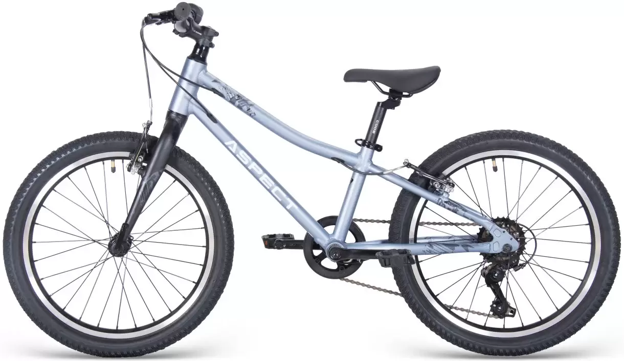 Детский велосипед Aspect Champion 20 2025 (серый) фото