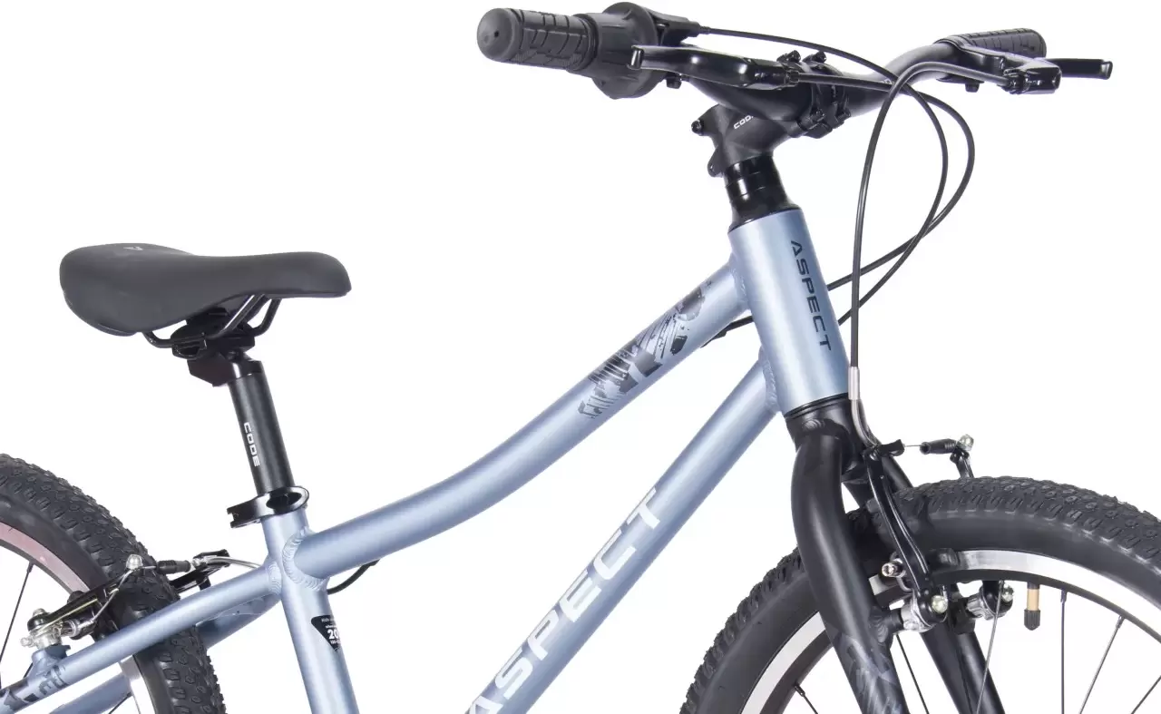 Детский велосипед Aspect Champion 20 2025 (серый) фото